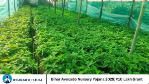 Bihar Avocado Nursery Yojana 2025: ₹10 Lakh Grant