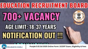 Punjab D.El.Ed 2025 Online Form | SCERT Exam, Eligibility & Fees