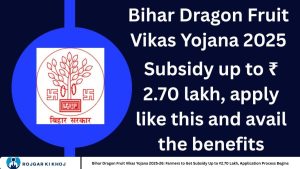 Bihar Dragon Fruit Scheme 2025-26: Farmers Eligible for ₹2.70 Lakh Subsidy