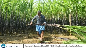 Mukhyamantri Sugarcane Scheme 2025 – ₹15,000/Acre Subsidy: A Complete Guide for Farmers
