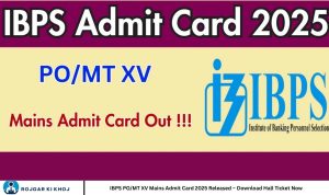 IBPS PO/MT XV Mains Admit Card 2025 Released – Download Hall Ticket Now
