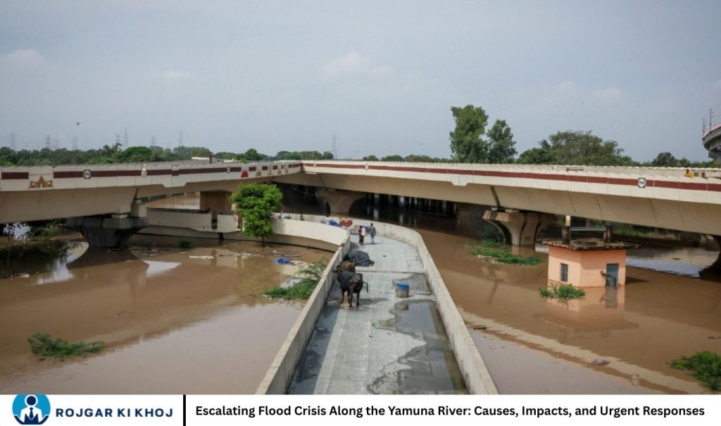 Escalating Flood Crisis Along the Yamuna River: Causes, Impacts, and Urgent Responses